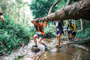 BIB: 
                            <button type="button" onclick="openModal(25373448)" class="btn btn-primary btn-sm float-right btn-popup" data-toggle="modal" data-target=".modal-high-quality">
                        <i class="fas fa-shopping-cart"></i> Add to Cart
                    </button>
                                            <button type="button" onclick="isThisMe(25373448, true)" class="btn btn-success btn-sm float-right btn-popup btn-isme hidden" data-toggle="tooltip" data-placement="bottom" title="นี่คือรูปของคุณใช่ไหม คลิกที่นี่เพื่อเอาเข้าอัลบั้ม">
                        <i class="fas fa-plus"></i> Add to album
                    </button>
                    <button type="button" onclick="isThisMe(25373448, false)" class="btn btn-warning btn-sm float-right btn-popup btn-isnotme hidden">
                        <i class="fas fa-ban"></i> Remove from album
                    </button>